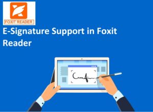 E-Signature Feature